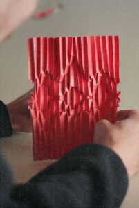 «Ruido», plegado contemporáneo de Alejo Wilkinson Hassler sobre modelo propio