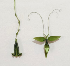 «Imago», origami de Gimena Avendaño sobre modelo propio
