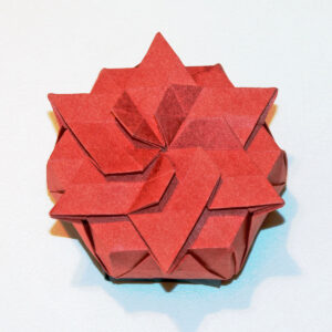 «Estrella floreciente», origami de Miguel Gañán